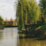Зображення Изображение готелю "Vilkovo" #35 #33