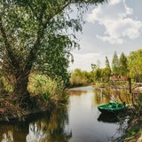 Зображення Изображение готелю "Vilkovo" #38 #36
